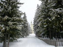 Mariazell